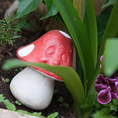 Jasmina דירה קורצולה